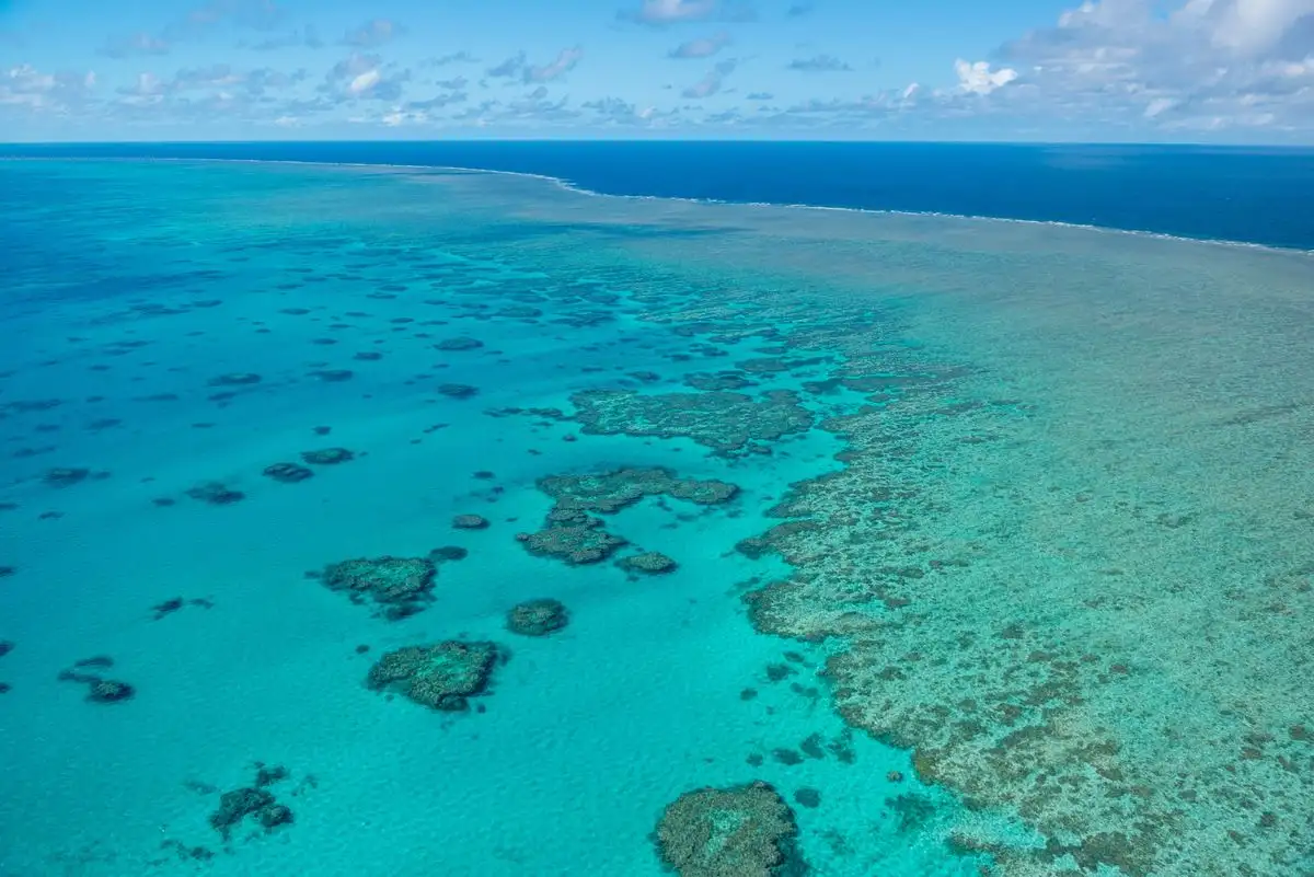 Aerial of Hook Reef