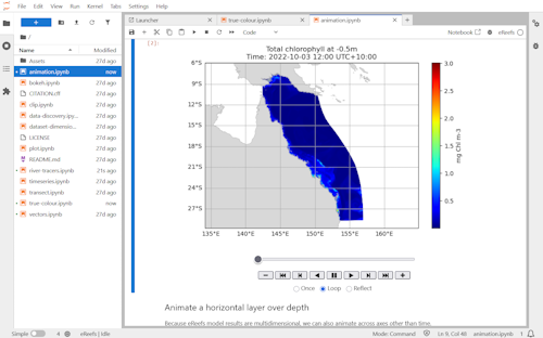 Preview of eReefs Data Access Notebooks