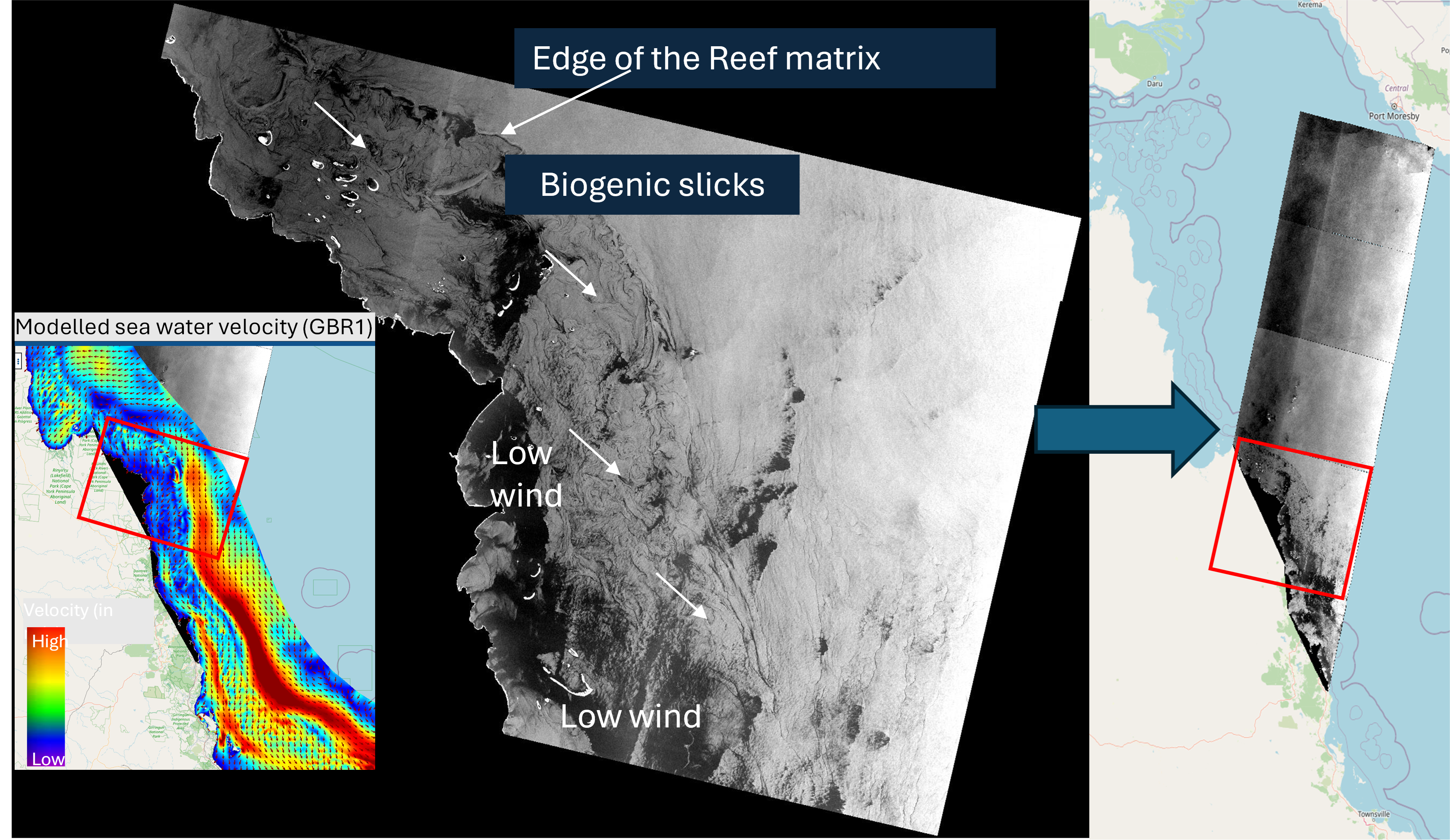 The eReefs platform provides a valuable perspective and allows for synergetic application of satellite imagery with other data sources provided under eReefs Phase 5 (right panel). The Sentinel-1A SAR-C acquisition of 29th December 2023 of the central GBR is used in combination with the modelled sea water velocity (GBR1; left panel) and showcases biogenic slicks and low wind speed areas that could not be otherwise imaged. The eReefs platform provides a valuable perspective and allows for synergetic application of satellite imagery with other data sources provided under eReefs Phase 5 (right panel). The Sentinel-1A SAR-C acquisition of 29th December 2023 of the central GBR is used in combination with the modelled sea water velocity (GBR1; left panel) and showcases biogenic slicks and low wind speed areas that could not be otherwise imaged.