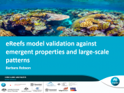 No12 eReefs model validation against emergent properties and large-scale patterns