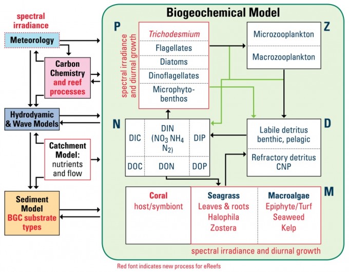 Biogeochemical Model